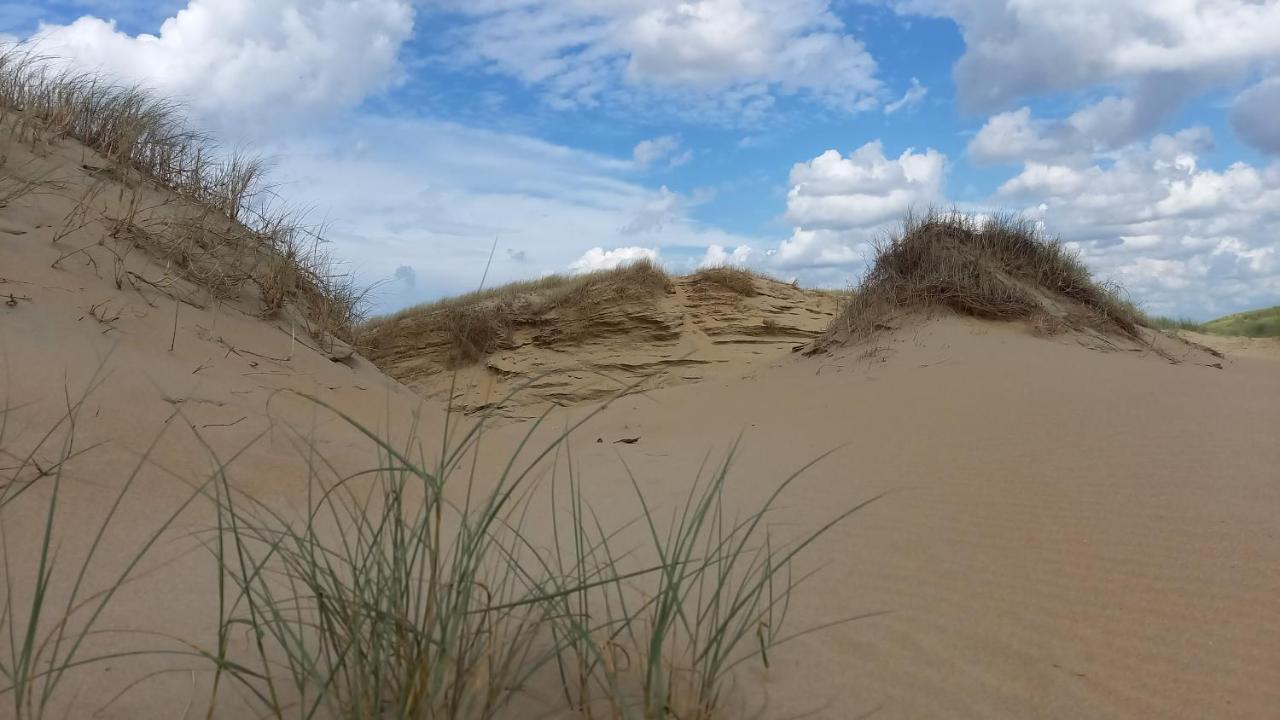 Het Zeepaartje, Knus En Gezellig Noordwijkerhout Exterior foto