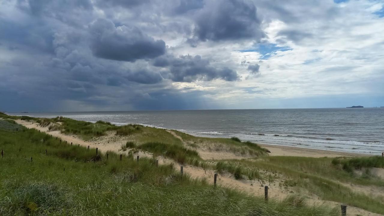 Het Zeepaartje, Knus En Gezellig Noordwijkerhout Exterior foto